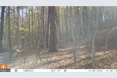 740 Hidden Valley Road, Loysville, PA 17047 - Photo 33