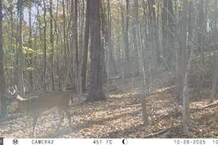 740 Hidden Valley Rd, Loysville, PA 17047 - Photo 33