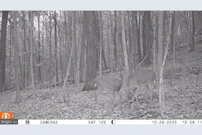 740 Hidden Valley Road, Loysville, PA 17047 - Photo 35