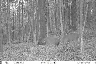 740 Hidden Valley Rd, Loysville, PA 17047 - Photo 35