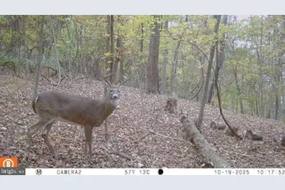 740 Hidden Valley Road, Loysville, PA 17047 - Photo 31