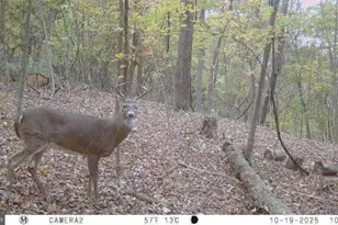 740 Hidden Valley Rd, Loysville, PA 17047 - Photo 31