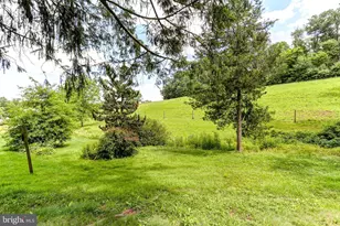 175 Dellville Rd, Duncannon, PA 17020 - Photo 29