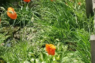 3370 Valley Rd, Marysville, PA 17053 - Photo 7