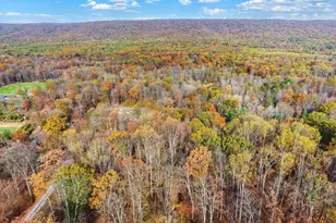 7504 Raccoon Valley Rd, Millerstown, PA 17062 - Photo 65