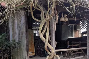 651 Bamboo Ln, Loysville, PA 17047 - Photo 21