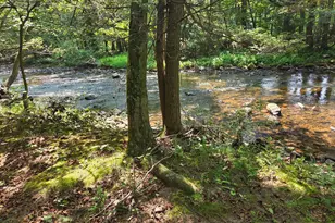 115 Lake Seldom Seen, Landisburg, PA 17040 - Photo 57