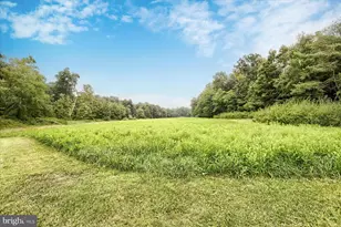 115 Lake Seldom Seen, Landisburg, PA 17040 - Photo 47