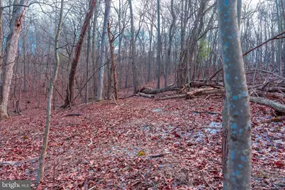 0 Barrick Hill Road, Shermans Dale, PA 17090 - Photo 31