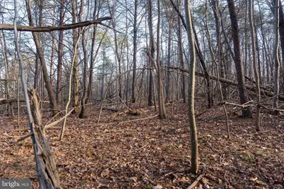 0 Barrick Hill Road, Shermans Dale, PA 17090 - Photo 35