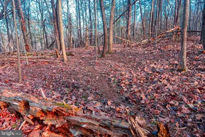 0 Barrick Hill Road, Shermans Dale, PA 17090 - Photo 29