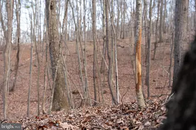 0 Barrick Hill Road, Shermans Dale, PA 17090 - Photo 27