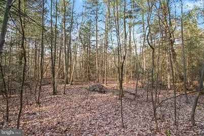 0 Hickory Ridge Road, Newport, PA 17074 - Photo 3