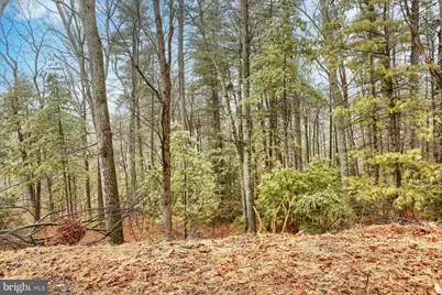 230 Woodridge Circle, Shermans Dale, PA 17090 - Photo 39