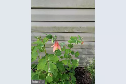 160 Germany Ridge Road, Elliottsburg, PA 17024 - Photo 83