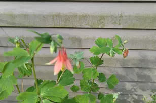 160 Germany Ridge Rd, Elliottsburg, PA 17024 - Photo 83