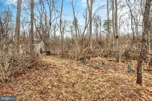 160 Germany Ridge Rd, Elliottsburg, PA 17024 - Photo 57