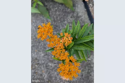 160 Germany Ridge Road, Elliottsburg, PA 17024 - Photo 75