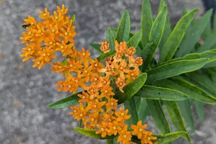 160 Germany Ridge Rd, Elliottsburg, PA 17024 - Photo 75