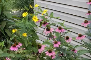 160 Germany Ridge Rd, Elliottsburg, PA 17024 - Photo 67