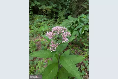 160 Germany Ridge Road, Elliottsburg, PA 17024 - Photo 69