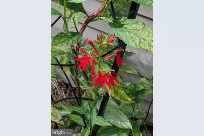 160 Germany Ridge Road, Elliottsburg, PA 17024 - Photo 73