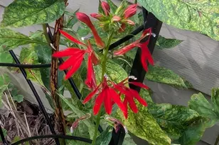 160 Germany Ridge Rd, Elliottsburg, PA 17024 - Photo 73