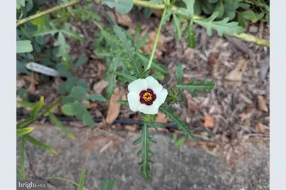 160 Germany Ridge Road, Elliottsburg, PA 17024 - Photo 71