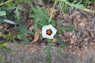 160 Germany Ridge Rd, Elliottsburg, PA 17024 - Photo 71