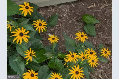 160 Germany Ridge Road, Elliottsburg, PA 17024 - Photo 77