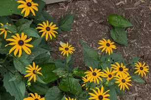 160 Germany Ridge Rd, Elliottsburg, PA 17024 - Photo 77