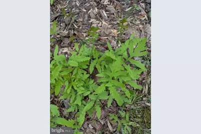 160 Germany Ridge Road, Elliottsburg, PA 17024 - Photo 79