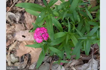 160 Germany Ridge Road, Elliottsburg, PA 17024 - Photo 9