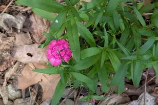 160 Germany Ridge Rd, Elliottsburg, PA 17024 - Photo 9