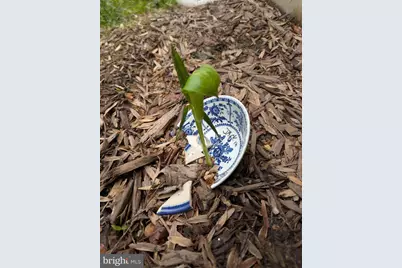 160 Germany Ridge Road, Elliottsburg, PA 17024 - Photo 81