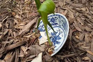 160 Germany Ridge Rd, Elliottsburg, PA 17024 - Photo 81