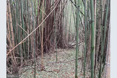 1237 Buckwheat Road, Millerstown, PA 17062 - Photo 19