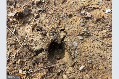 1237 Buckwheat Road, Millerstown, PA 17062 - Photo 35