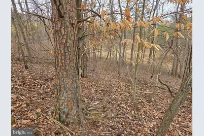 1237 Buckwheat Road, Millerstown, PA 17062 - Photo 11