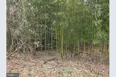 1237 Buckwheat Road, Millerstown, PA 17062 - Photo 17