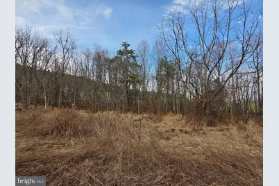 1237 Buckwheat Road, Millerstown, PA 17062 - Photo 33