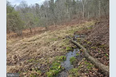 1237 Buckwheat Road, Millerstown, PA 17062 - Photo 13