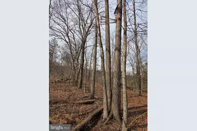 1237 Buckwheat Road, Millerstown, PA 17062 - Photo 43