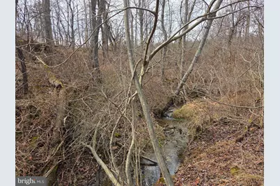 1237 Buckwheat Road, Millerstown, PA 17062 - Photo 39