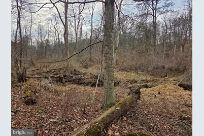 1237 Buckwheat Road, Millerstown, PA 17062 - Photo 7