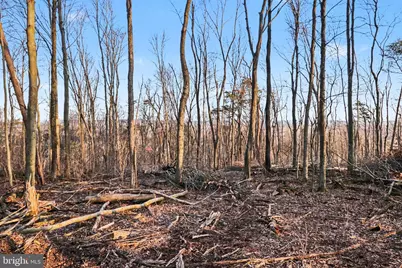 00 Pee Wee Lane, Duncannon, PA 17020 - Photo 13