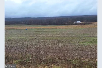 5172 Raccoon Valley Road, Millerstown, PA 17062 - Photo 3