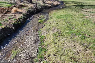 4118 Buckwheat Rd, Millerstown, PA 17062 - Photo 9