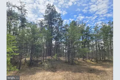 Sulphur Springs Road, Duncannon, PA 17020 - Photo 3