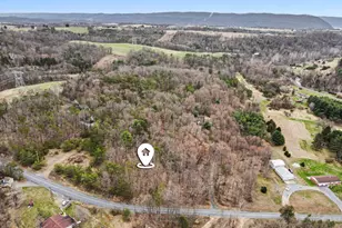 Sulphur Springs Rd, Duncannon, PA 17020 - Photo 1